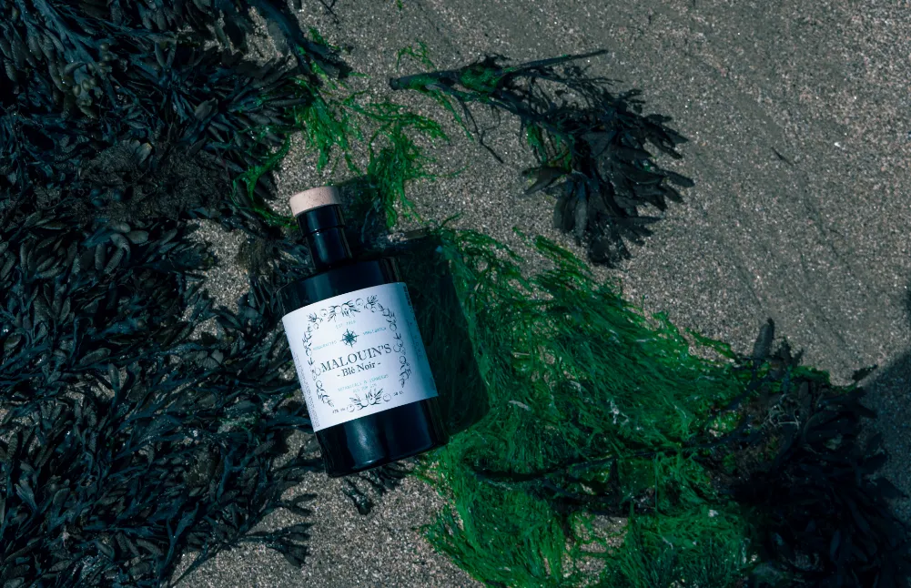 Un échantillon de Blé noir de la marque Malouin's dans les algues